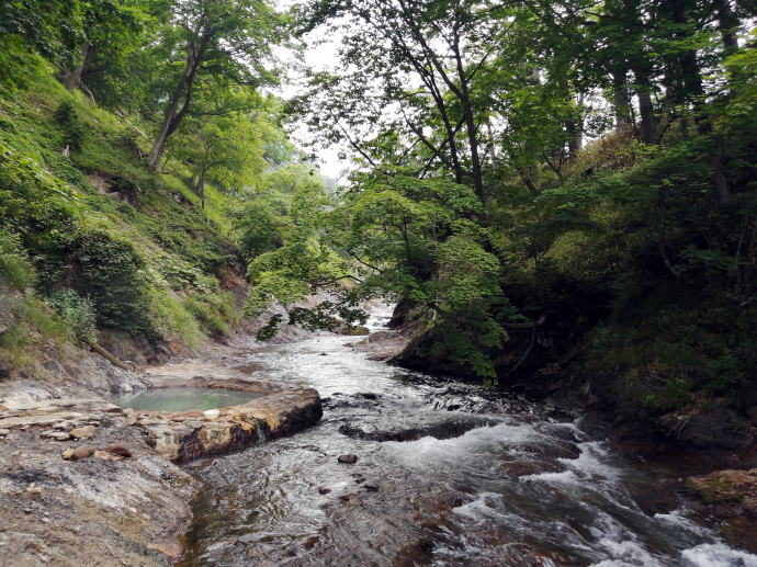 �R�ʋ�����@���̓��E�v�w�̓��y�����s���z