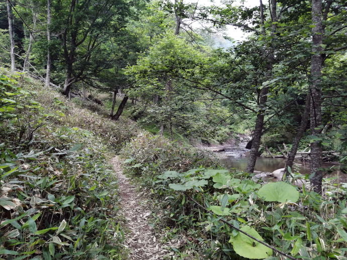 �k�C���@�R�ʋ�����@���̓��y�����s���z