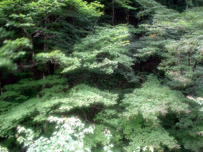 �l������@�䖲�z�T���y�����s���z