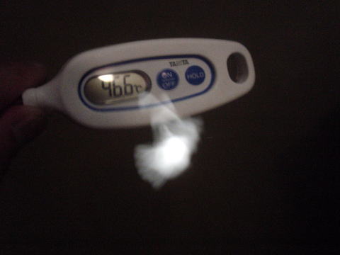 �l������@�͌��̓��y�����s���z