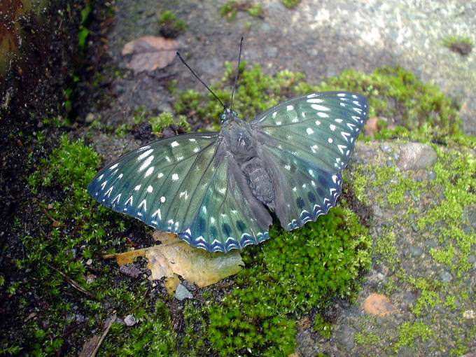 �l������@���򋦉�O���򏊁y�����s���z