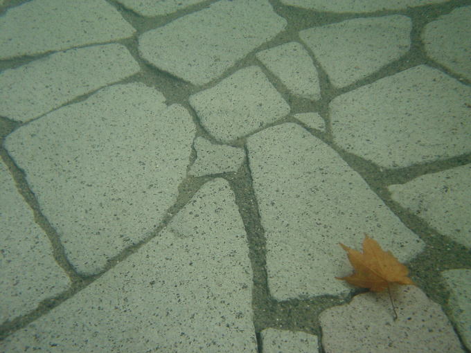 �l������@�R���I�V���C�y�����s���z