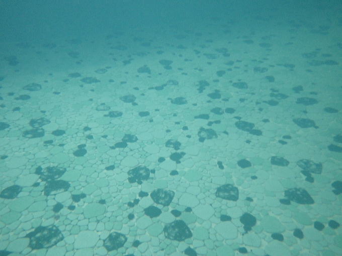 ���ʂ�鉷��y�����s���z