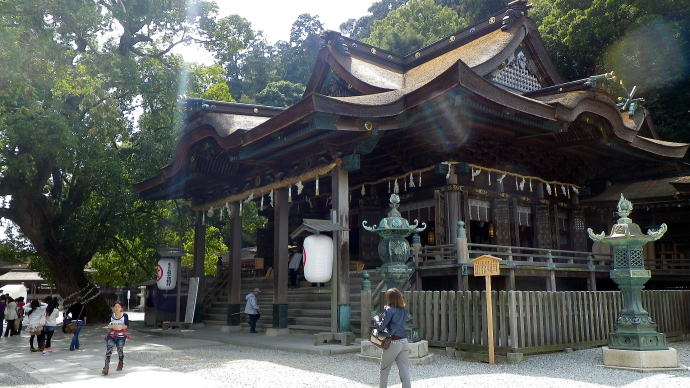 ��������y�����s���z