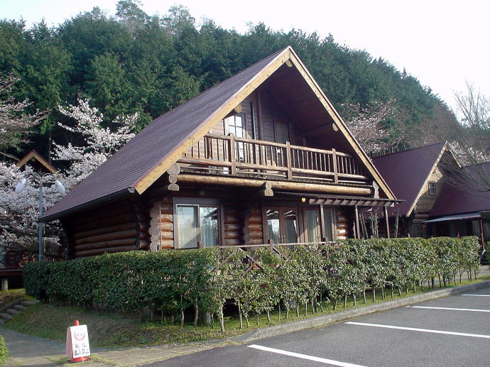 ��������y�����s���z