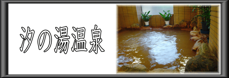 ���̓�����y�����s���z