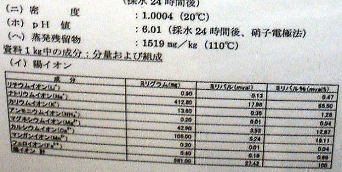 ���̓�����y�����s���z