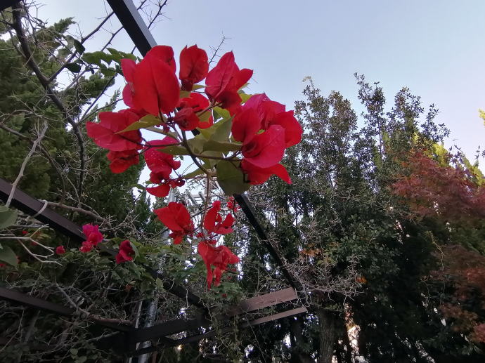 白浜温泉　ホテル花飾璃【温泉奉行所】