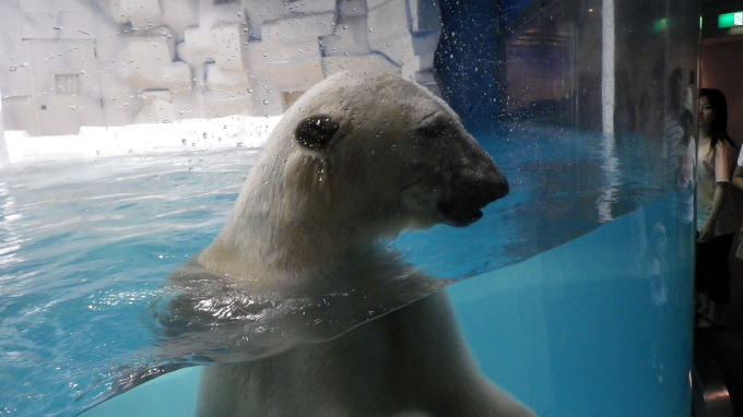 ���l����@��̓��y�����s���z