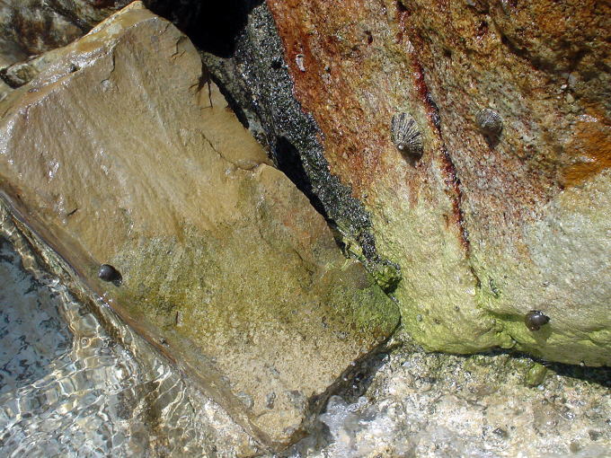 ���l����@��̓��y�����s���z