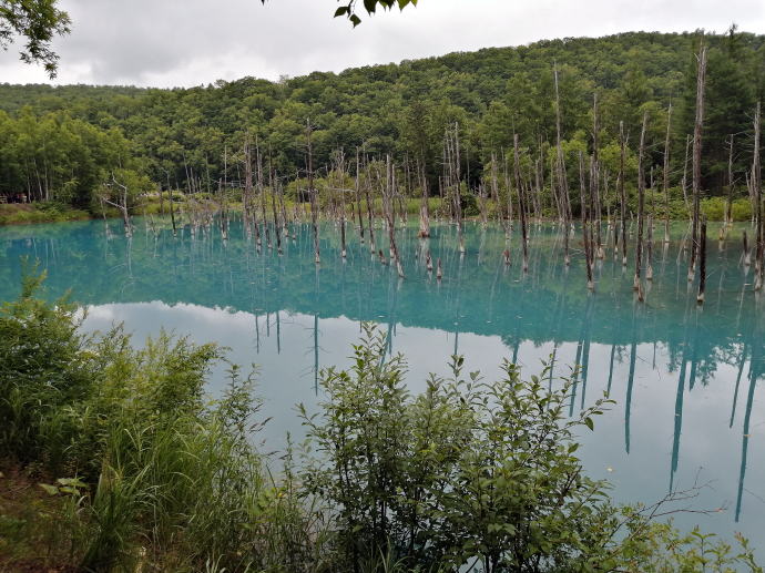 ��������@������������z�e���y�����s���z