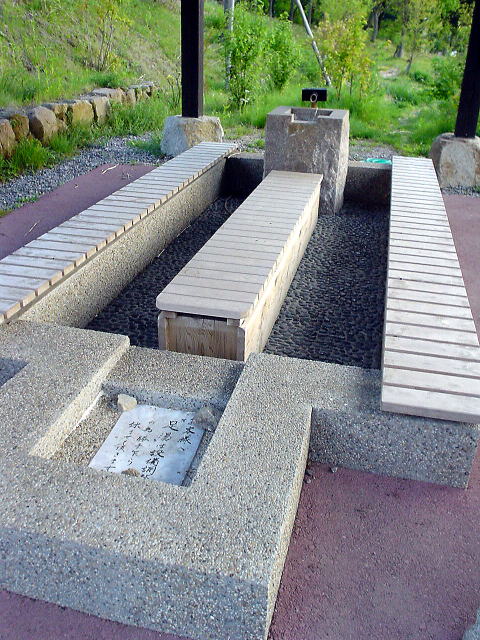 �]���������� ���T�̓��y�����s���z