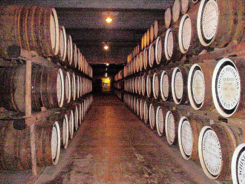 ���Ί~�c����