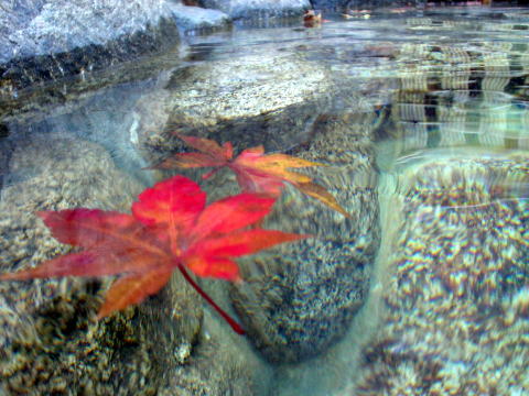 �|�̋�����@�z�e�����s�G�~�i�[�X 