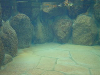 �|�̋�����@�z�e�����s�G�~�i�[�X 