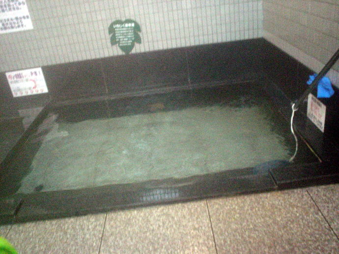 ���ꂢ����������y�����s���z