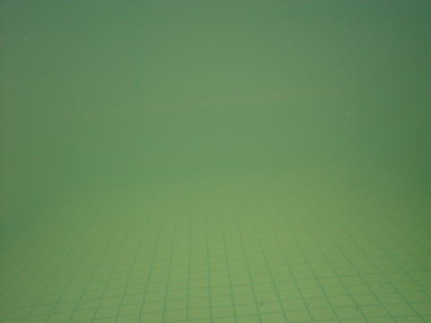 �y�g����@�e���}55�y�����s���z