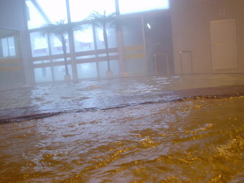 �y�g����@�e���}55�y�����s���z