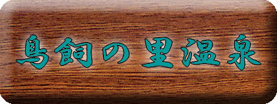 �����̗����� 