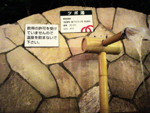 �����̗����� 