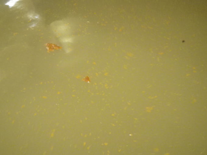 �L�x����@�ӂꂠ���Z���^�[�y�����s���z