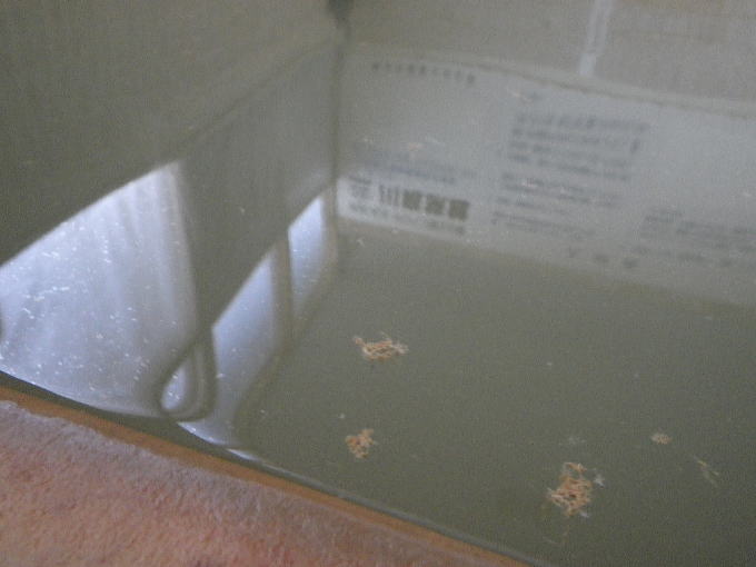 �L�x����@�쓇���فy�����s���z