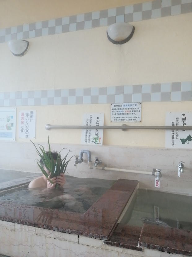 椿温泉　旅館しらさぎ【温泉奉行所】