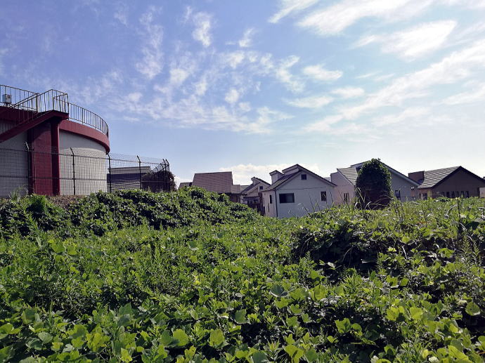 ���S�R���y�����s���z