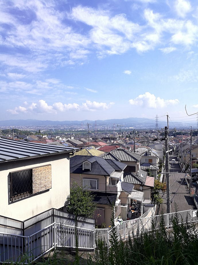 ���S�R���y�����s���z