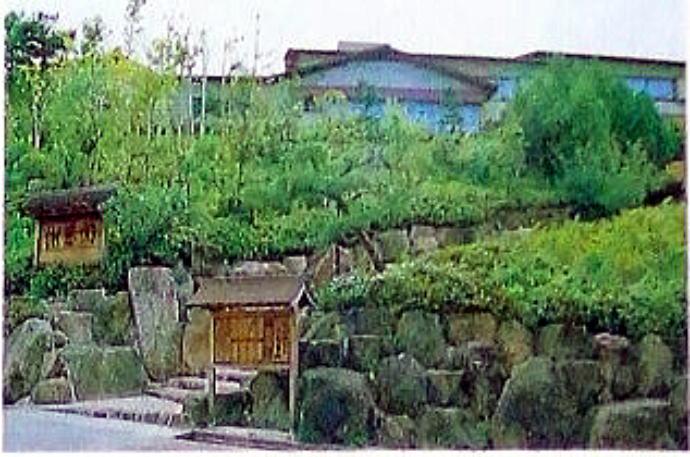 ���S�R���y�����s���z