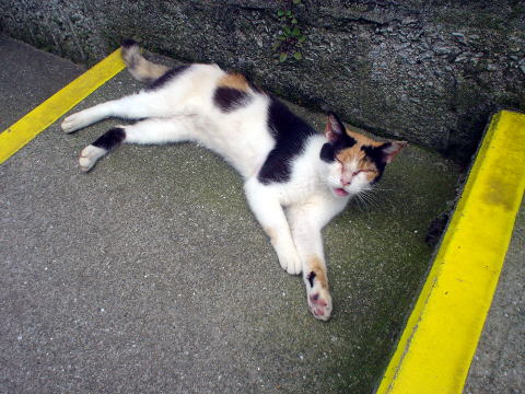 �_�剷��@�V����������y�����s���z