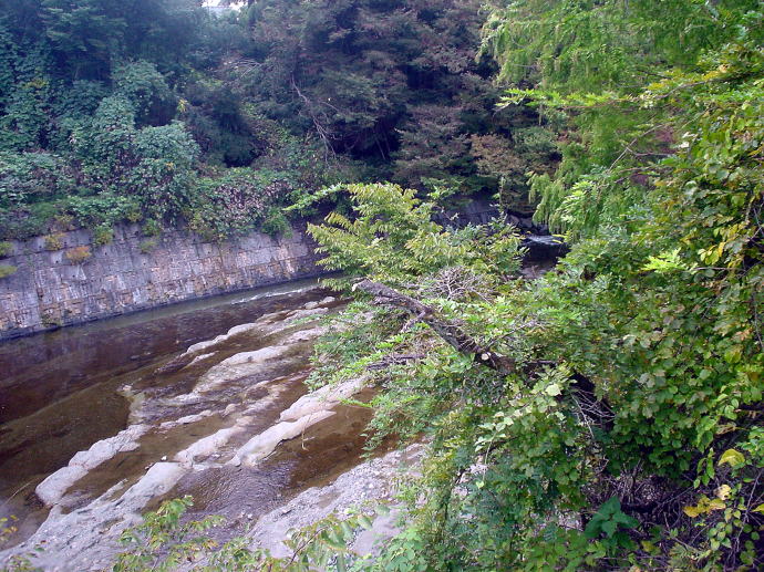 �a���z��@��̏h�a�ǂ��y�����s���z