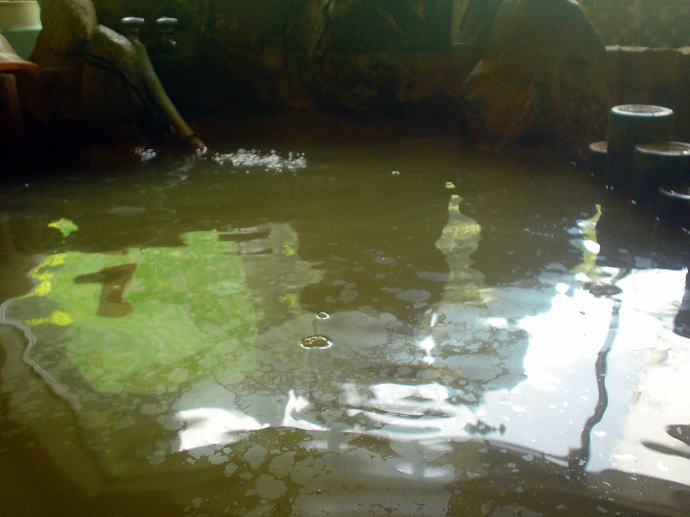 ��������@�_���Ȃ����y�����s���z