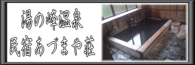 湯の峰温泉 民宿あづまや荘【温泉奉行所】