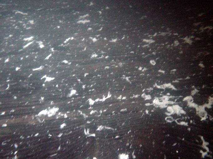 ���̕􉷐�@���h���Â܂⑑�y�����s���z