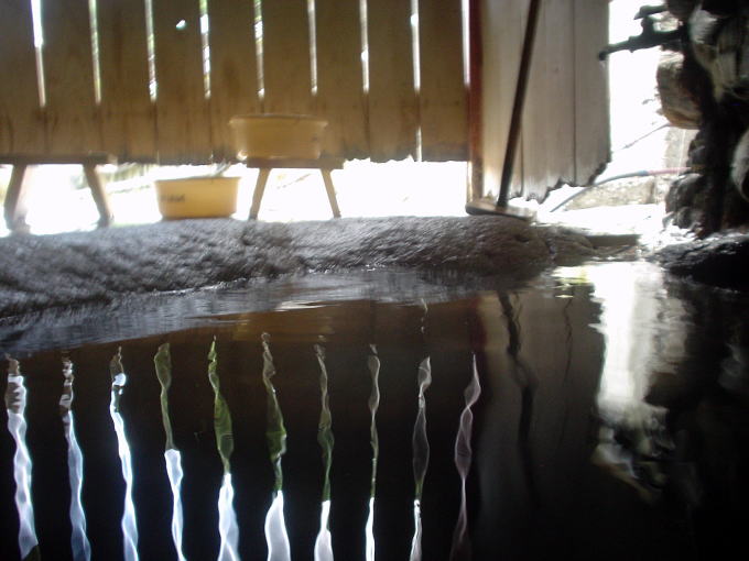 ���̕􉷐�@�ړ��y�����s���z