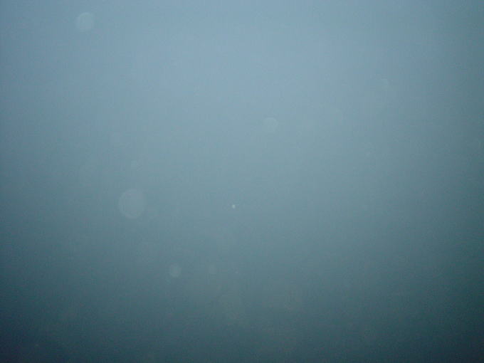 ���̕􉷐�@�ړ��y�����s���z