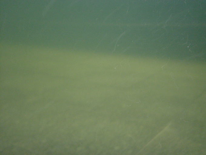 ���̎R�Љ�����@�A�N�A�C�O�j�X�y�����s���z