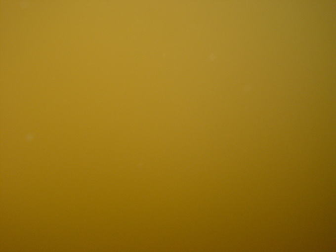 ����̓��@�ޗǓX�y�����s���z