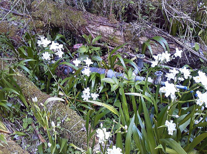 �����J�z��y�����s���z