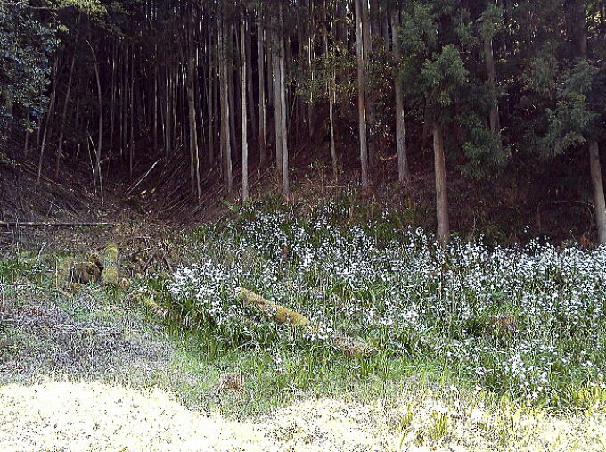 �����J�z��y�����s���z