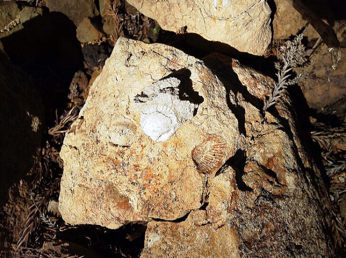 �����J�z��y�����s���z