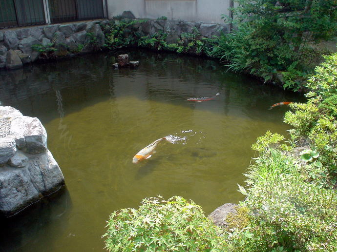 ��������@�������򗷊فy�����s���z