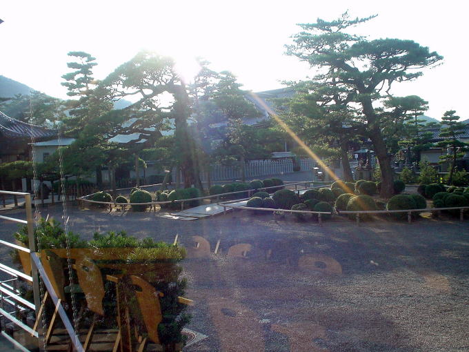 �P�ʎ���t�̗�������@�P�ʎ��h�V����͉�فy�����s���z