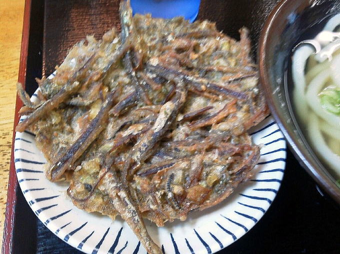 �P�ʎ���t�̗�������@�P�ʎ��h�V����͉�فy�����s���z